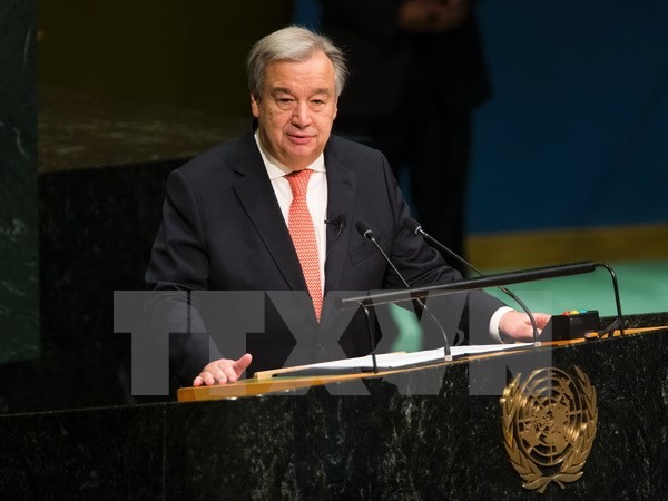 Neuer UN-Generalsekretär und designierter US-Präsident führen Telefongespräch - ảnh 1